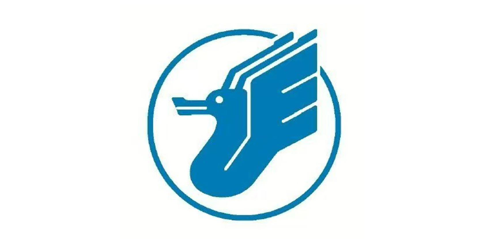 中国飞龙通用航空有限公司